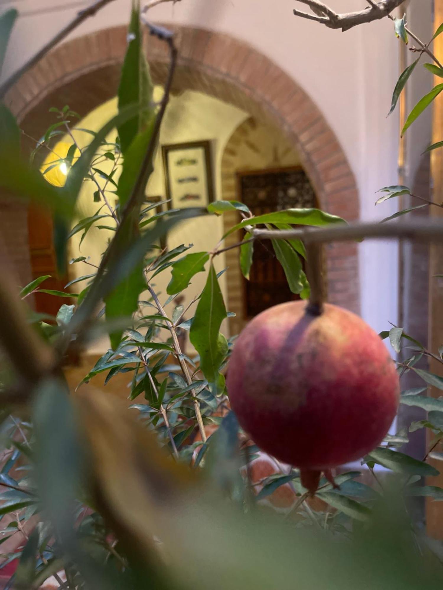La Maison Berber Shams Марракеш Экстерьер фото